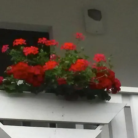 Pensjonat Geranienhof 3*