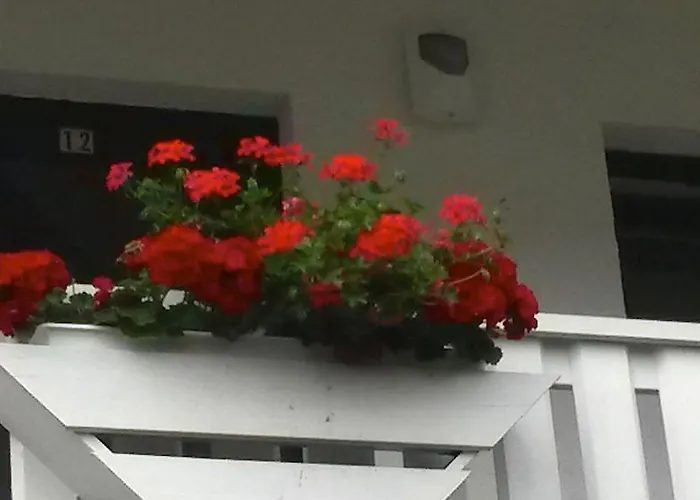 Guest house Geranienhof 3*